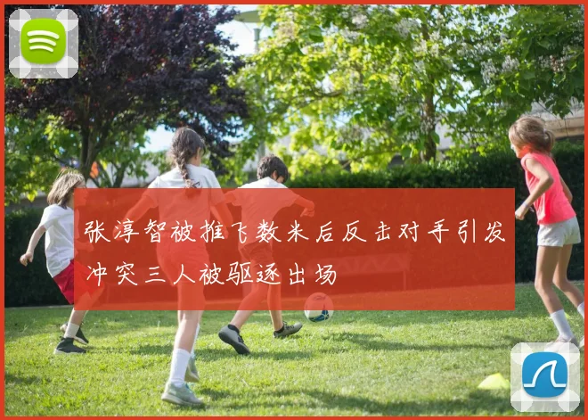 张淳智被推飞数米后反击对手引发冲突三人被驱逐出场