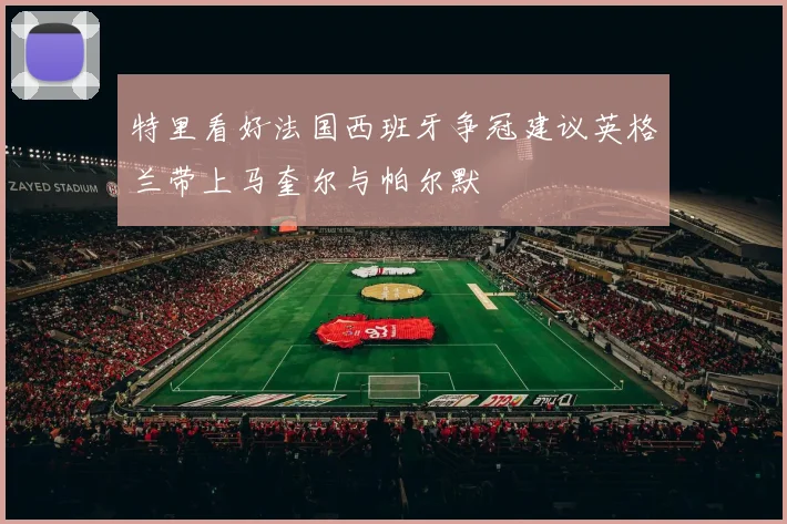 特里看好法国西班牙争冠建议英格兰带上马奎尔与帕尔默