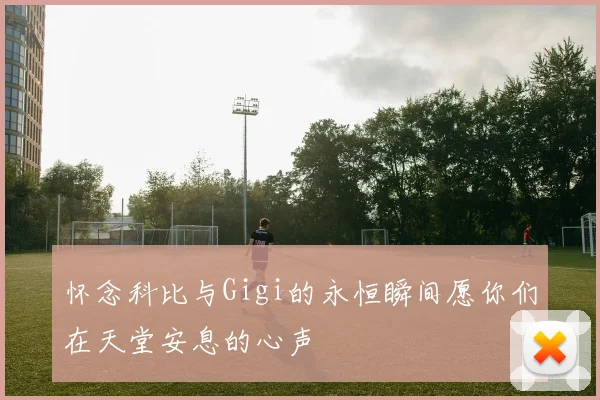 怀念科比与Gigi的永恒瞬间愿你们在天堂安息的心声