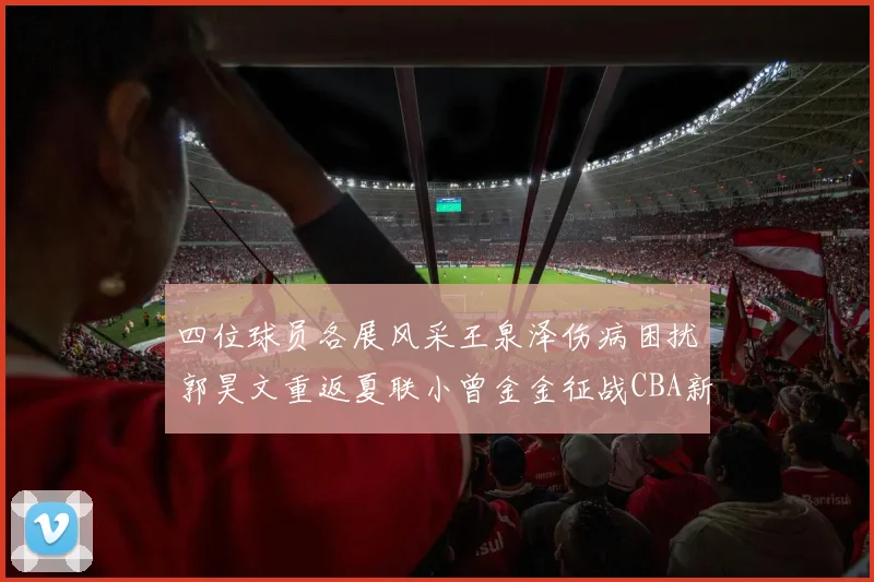 四位球员各展风采王泉泽伤病困扰郭昊文重返夏联小曾金金征战CBA新赛季