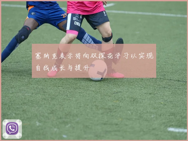 塞纳克表示将向双探花学习以实现自我成长与提升